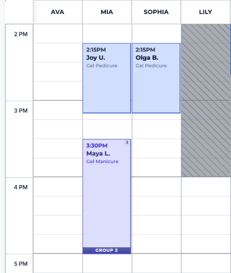 Aura Appointment Book at 2 to 5 PM: Maya L.’s online request with Mia at 3:30 PM, a group of two, beside Mia’s 2:15 client